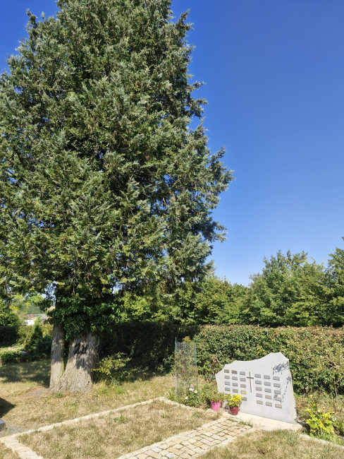 Friedhof Gärtenroth 2026 Urnengrabfeld